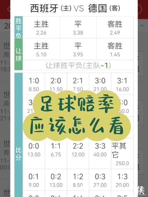 世界杯竞猜APP：热门球队赔率大揭秘